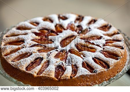 Delicious Plum Cake Sprinkled With Powdered Sugar