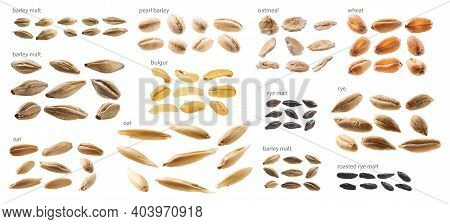 Large Set Of Malt And Grains On A White Background