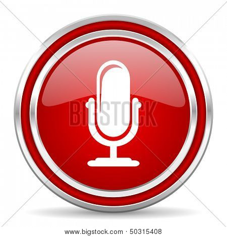 microphone icon 