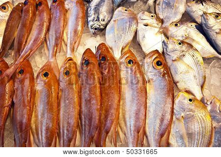 Whole Fresh Fishes Are Offered In The Fish Market In Asia