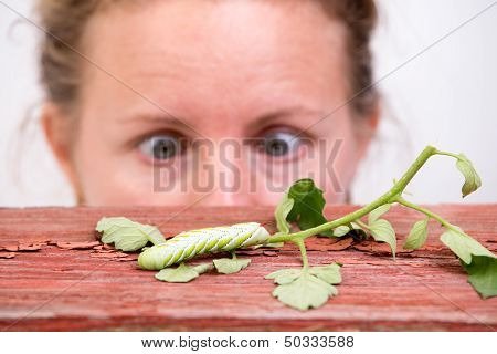 Woman Watching A Caterpillar