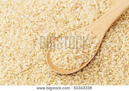 Brown rice on wooden teaspoon