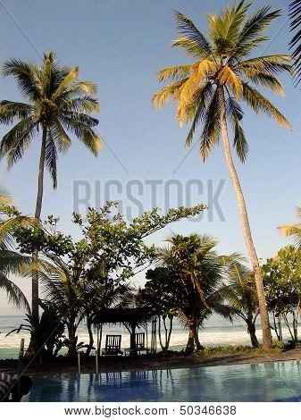 Beautiful Pool At The Ocean With Palms