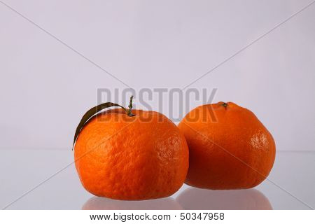 mandrin oranges