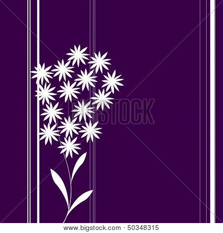 Lilac Flowers