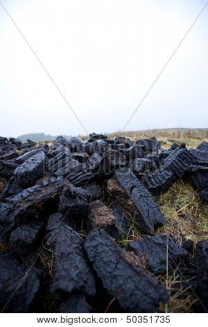 Close-up view of peat cuttings