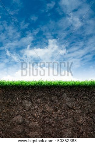 Soil With Grass In Blue Sky