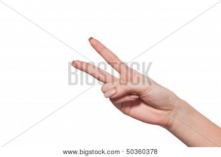 Hand Gesture Number Four Closeup Isolated On White