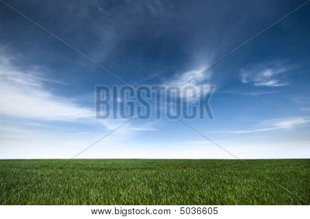 Vihreä kenttä ja sininen taivas