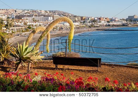 Costa Adeje. Tenerife. Canary Islands