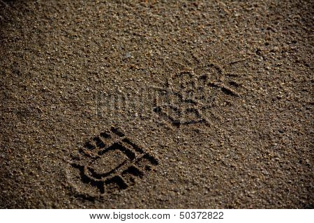Shoe Print