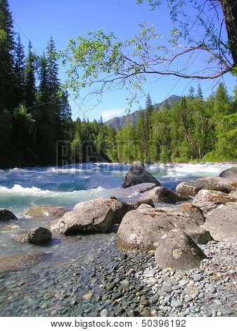 Altai river