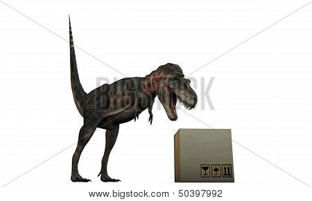 Tarbosarus