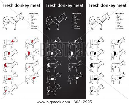 FRESH DONKEY meat parts diagram