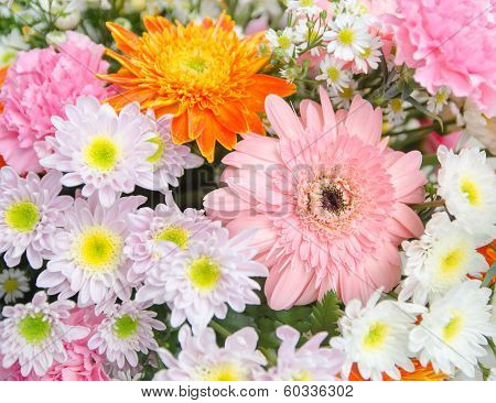 Bouquet Of Fresh Pink And White Flowers