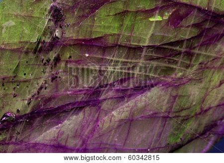 Labradorite Background