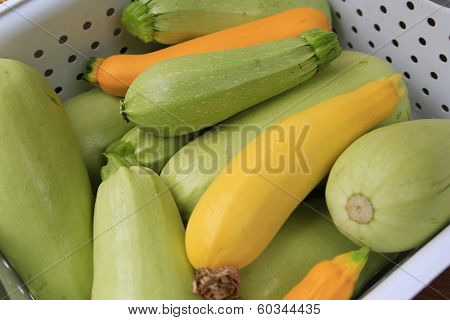 Gathering Home Harvest