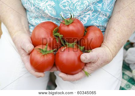 Just Gathered Home Harvest