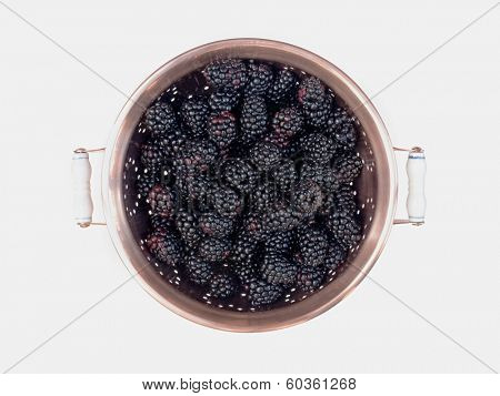 Blackberries in Copper Colander