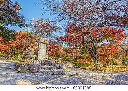 Autumn Leaves at Tenryuji Temple in Kyoto