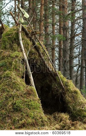forest wigwam with animal skull