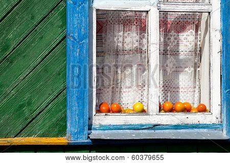 tomatoes behind the window village house