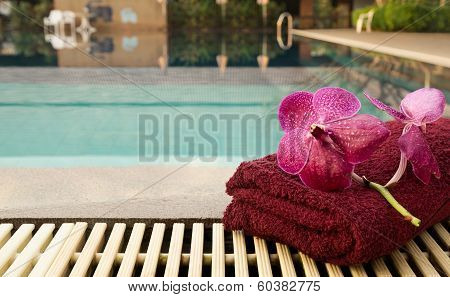 Purple Orchid With Red Towel