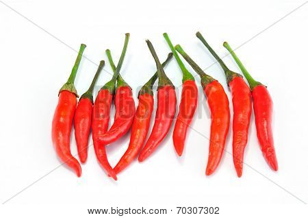 Red Chilly