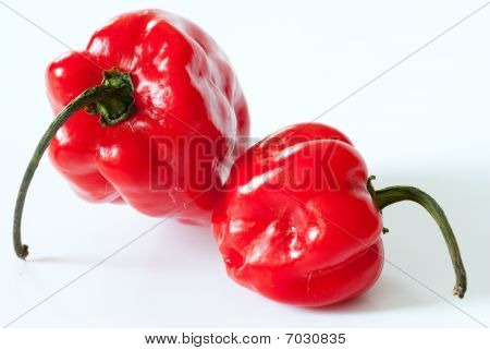 Habanero
