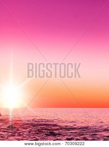Tripical Background Evening Landscape 