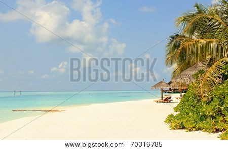 Maldives beach  Landscape