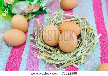Eggs On Nest