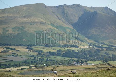 Blencathra