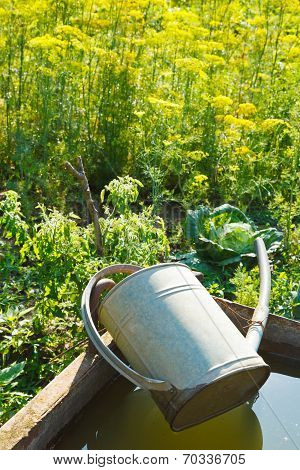 Trough With Water For Garden Watering