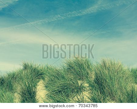 Sand Dunes