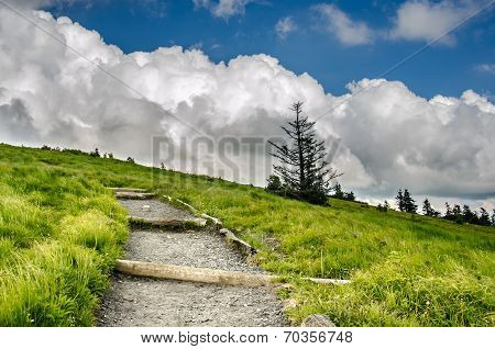 Appalachian Trail Climbing Up Round Bald