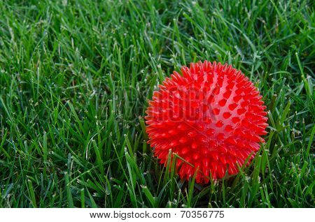 Red Ball In Grass