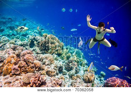 Snorkeler diving along the brain coral. Maldives Indian Ocean coral reef.