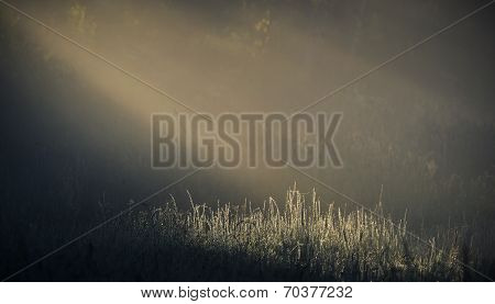 Early morning