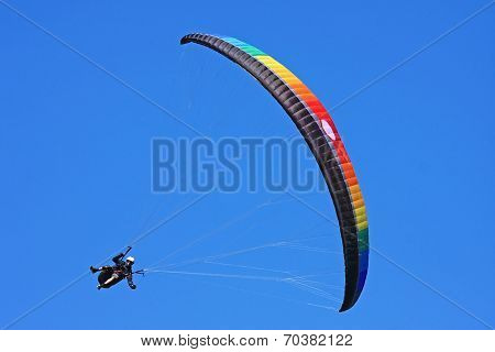 Paraglider