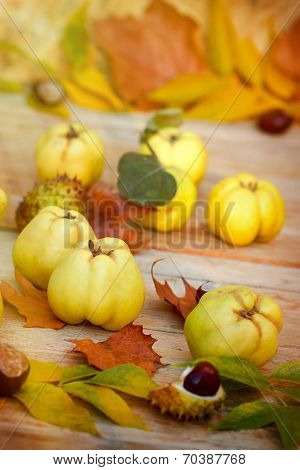 Organic quince