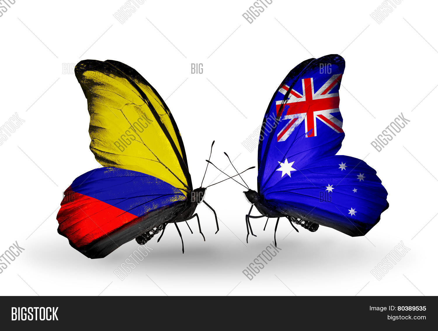 Two Butterflies Flags Image & Photo (Free Trial) | Bigstock