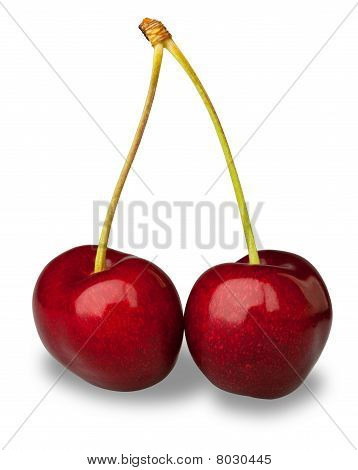 Cerezas de par frescas en blanco con Clipping Path