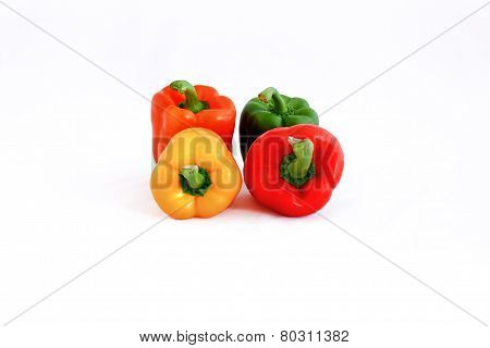 Peppers in four colors