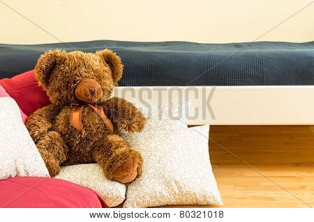 Close-up Of Teddy