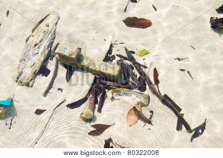 Structure Of Leave Remaining On A Sandy White Beach