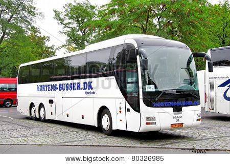 Man R08 Lion's Top Coach