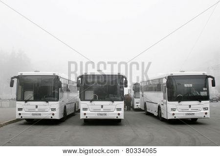 Nefaz 5299
