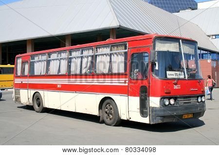 Ikarus 256