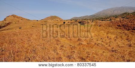 Open Filed With Volcano On The Backdrop